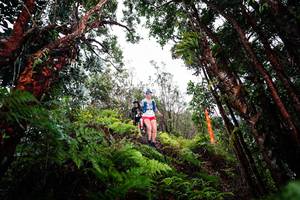 BIB: 
                            <button type="button" onclick="openModal(26202378)" class="btn btn-primary btn-sm float-right btn-popup" data-toggle="modal" data-target=".modal-high-quality">
                        <i class="fas fa-shopping-cart"></i> Add to Cart
                    </button>
                                            <button type="button" onclick="isThisMe(26202378, true)" class="btn btn-success btn-sm float-right btn-popup btn-isme hidden" data-toggle="tooltip" data-placement="bottom" title="นี่คือรูปของคุณใช่ไหม คลิกที่นี่เพื่อเอาเข้าอัลบั้ม">
                        <i class="fas fa-plus"></i> Add to album
                    </button>
                    <button type="button" onclick="isThisMe(26202378, false)" class="btn btn-warning btn-sm float-right btn-popup btn-isnotme hidden">
                        <i class="fas fa-ban"></i> Remove from album
                    </button>